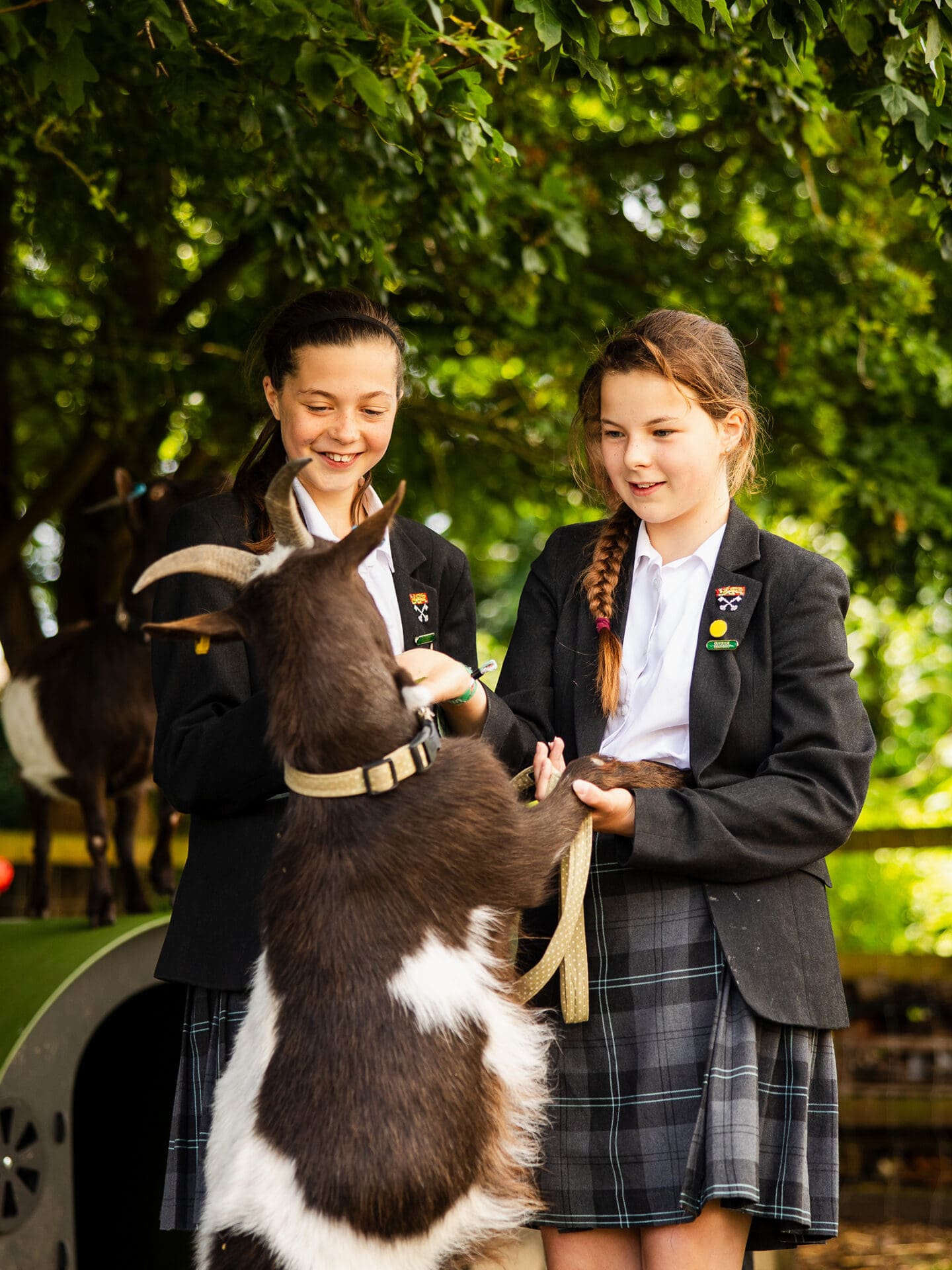Image of pupils tending to the school goat